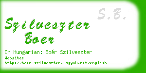 szilveszter boer business card