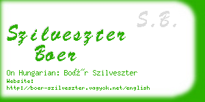 szilveszter boer business card